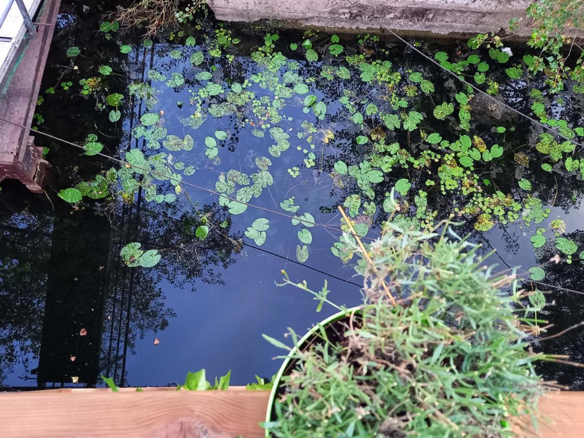 Appartement atypique indépendant sur péniche Metz Esterno foto