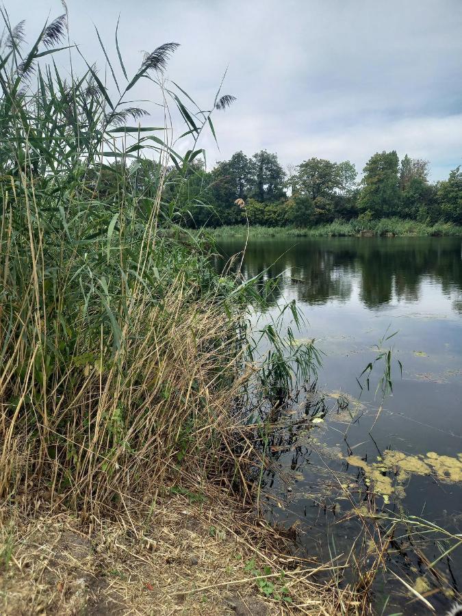 Appartement atypique indépendant sur péniche Metz Esterno foto