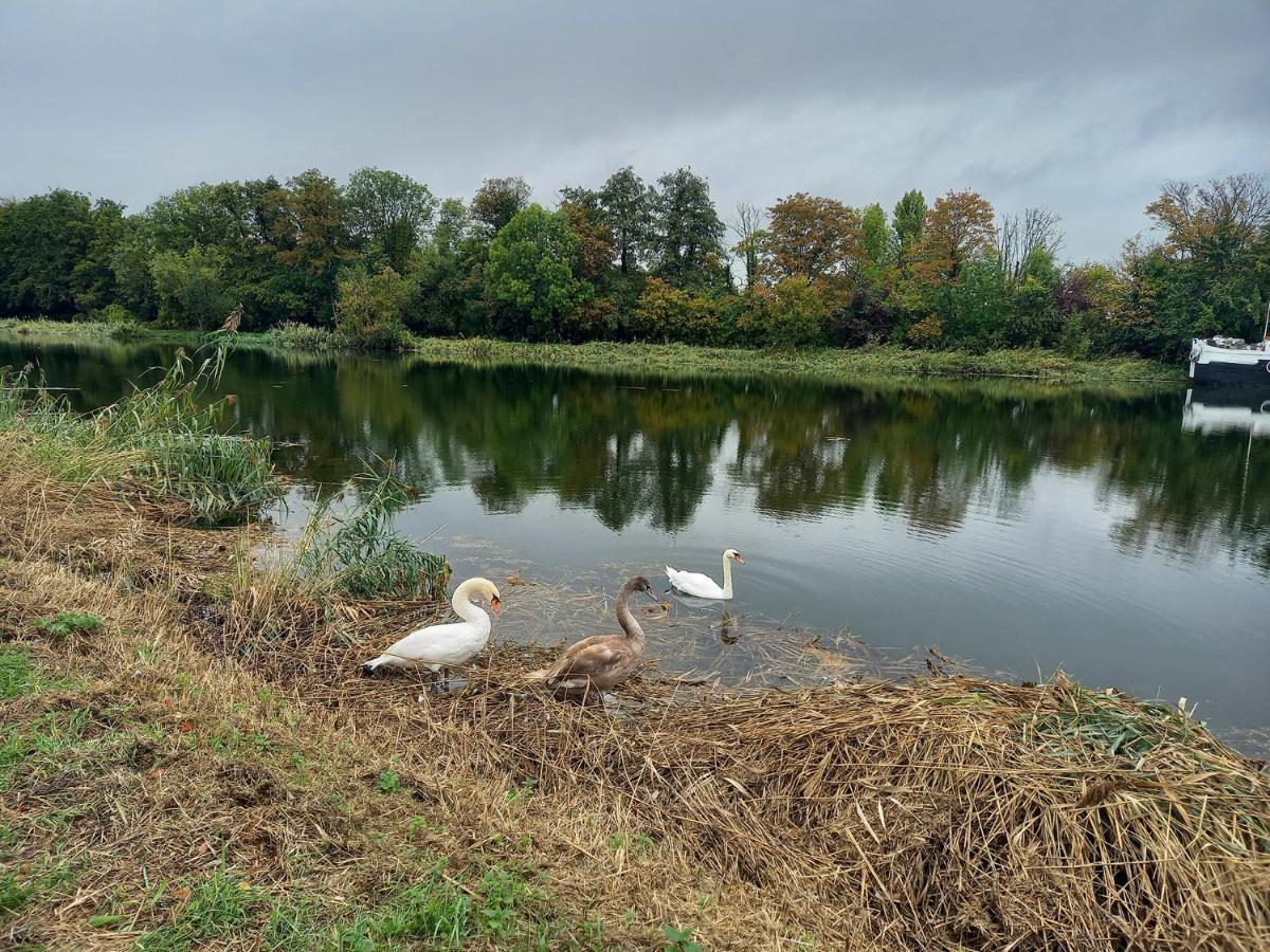 Appartement atypique indépendant sur péniche Metz Esterno foto