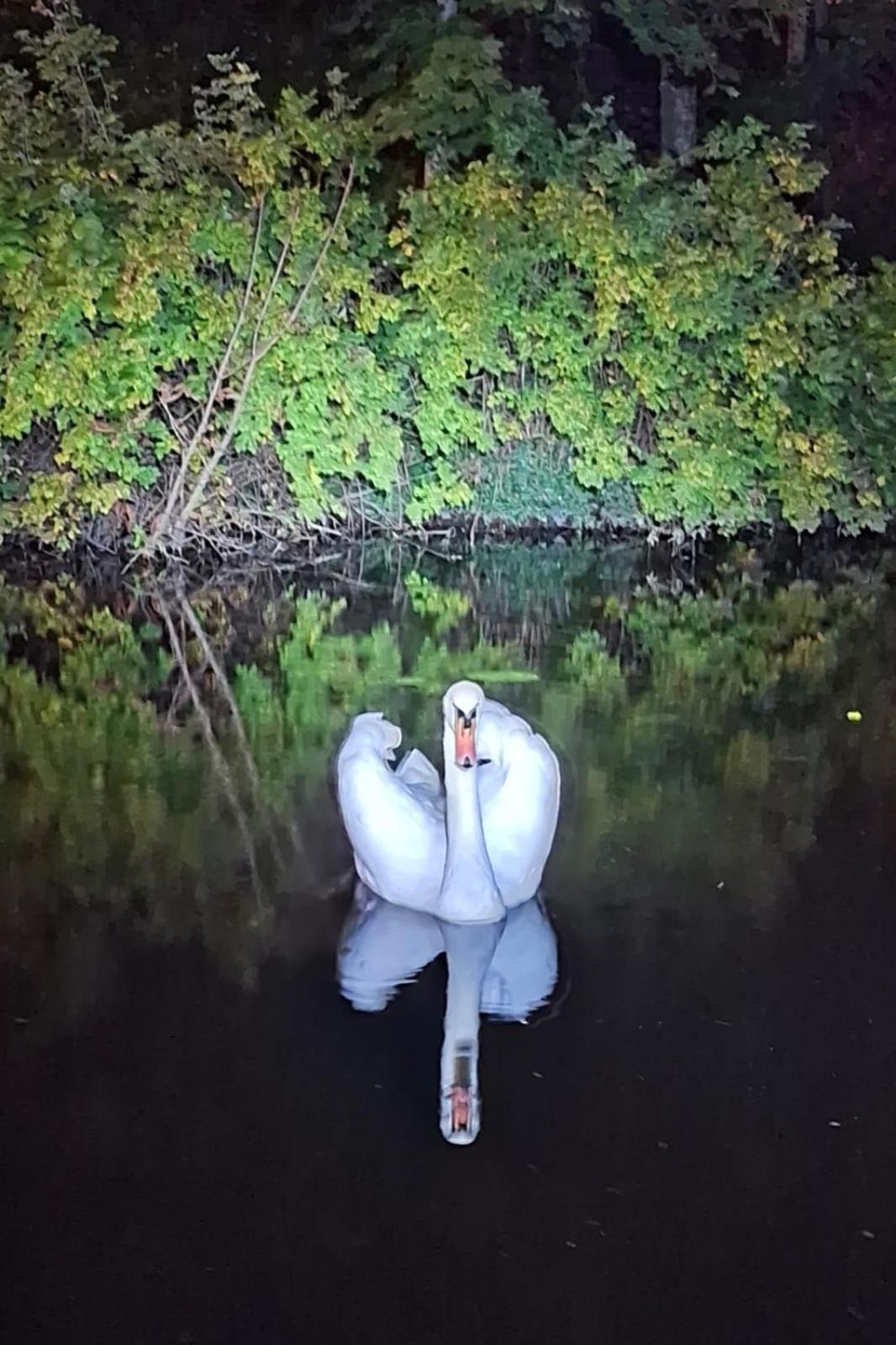 Appartement atypique indépendant sur péniche Metz Esterno foto